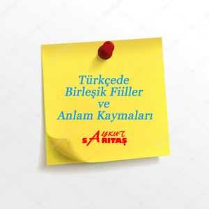 Türkçede Birleşik Fiiller ve Anlam Kaymaları